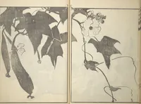 An illustration from A Thicket of Pictures Without Shapes (Fukei gasō) (1817)