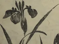 An illustration from Kyūrō (Baitei) Picture Album (Kyūrō gafu 九老画譜) (1797)
