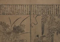 An illustration from Illustrations of Birds and Flowers (Kachō e-zukushi 花鳥絵づくし) (1683)