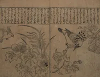 An illustration from Illustrations of Birds and Flowers (Kachō e-zukushi 花鳥絵づくし) (1683)