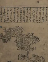 An illustration from Illustrations of Birds and Flowers (Kachō e-zukushi 花鳥絵づくし) (1683)