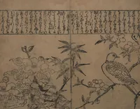 An illustration from Illustrations of Birds and Flowers (Kachō e-zukushi 花鳥絵づくし) (1683)