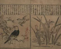 An illustration from Illustrations of Birds and Flowers (Kachō e-zukushi 花鳥絵づくし) (1683)