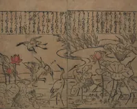 An illustration from Illustrations of Birds and Flowers (Kachō e-zukushi 花鳥絵づくし) (1683)