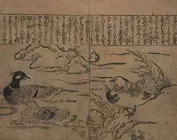 An illustration from Illustrations of Birds and Flowers (Kachō e-zukushi 花鳥絵づくし) (1683)