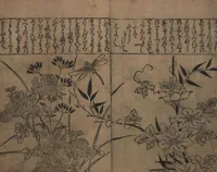 An illustration from Illustrations of Birds and Flowers (Kachō e-zukushi 花鳥絵づくし) (1683)