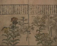 An illustration from Illustrations of Birds and Flowers (Kachō e-zukushi 花鳥絵づくし) (1683)