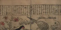 An illustration from Illustrations of Birds and Flowers (Kachō e-zukushi 花鳥絵づくし) (1683)
