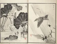 Picture 6 of 11 from Bairei Picture Album of One Hundred Birds (Bairei hyakuchō gafu 楳嶺百鳥畫譜) : [volume 1] (1881), leaf 10
