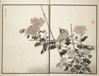 Picture 8 of 11 from Bairei Picture Album of One Hundred Birds (Bairei hyakuchō gafu 楳嶺百鳥畫譜) : [volume 1] (1881), leaf 16