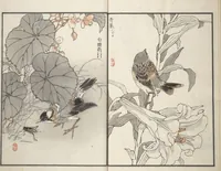 Picture 9 of 11 from Bairei Picture Album of One Hundred Birds (Bairei hyakuchō gafu 楳嶺百鳥畫譜) : [volume 1] (1881), leaf 25