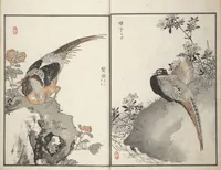 Picture 10 of 11 from Bairei Picture Album of One Hundred Birds (Bairei hyakuchō gafu 楳嶺百鳥畫譜) : [volume 1] (1881), leaf 26