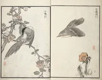 Picture 3 of 11 from Bairei Picture Album of One Hundred Birds (Bairei hyakuchō gafu 楳嶺百鳥畫譜) : [volume 1] (1881), leaf 6