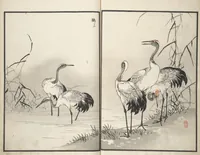 Picture 5 of 11 from Bairei Picture Album of One Hundred Birds (Bairei hyakuchō gafu 楳嶺百鳥畫譜) : [volume 1] (1881), leaf 9