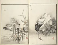 Picture 5 of 9 from Bairei Picture Album of One Hundred Birds (Bairei hyakuchō gafu 楳嶺百鳥畫譜) : [volume 2] (1881), leaf 11