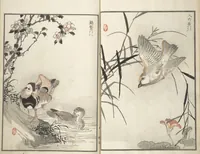Picture 6 of 9 from Bairei Picture Album of One Hundred Birds (Bairei hyakuchō gafu 楳嶺百鳥畫譜) : [volume 2] (1881), leaf 13