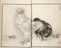 Picture 7 of 9 from Bairei Picture Album of One Hundred Birds (Bairei hyakuchō gafu 楳嶺百鳥畫譜) : [volume 2] (1881), leaf 25