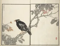 An illustration from Bairei Picture Album of One Hundred Birds (Bairei hyakuchō gafu 楳嶺百鳥畫譜) : [volume 2] (1881)