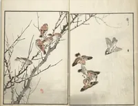 Picture 4 of 9 from Bairei Picture Album of One Hundred Birds (Bairei hyakuchō gafu 楳嶺百鳥畫譜) : [volume 2] (1881), leaf 6