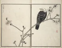 An illustration from Bairei Picture Album of One Hundred Birds (Bairei hyakuchō gafu 楳嶺百鳥畫譜) : [volume 3] (1881)