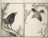 An illustration from Bairei Picture Album of One Hundred Birds (Bairei hyakuchō gafu 楳嶺百鳥畫譜) : [volume 3] (1881)