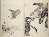 An illustration from Bairei Picture Album of One Hundred Birds (Bairei hyakuchō gafu 楳嶺百鳥畫譜) : [volume 3] (1881)