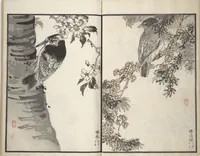 An illustration from Bairei Picture Album of One Hundred Birds (Bairei hyakuchō gafu 楳嶺百鳥畫譜) : [volume 3] (1881)