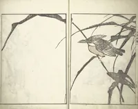 An illustration from Bunpō Picture Album (Bunpō gafu 文鳳画譜), First Series : [volume 3] (1813)