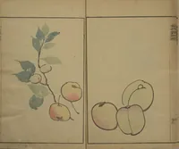 Picture 9 of 18 from Kinpaen (Bunpō) Picture Album (Kinpaen gafu 金波園画譜) (1820), leaf 19