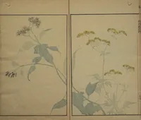 An illustration from Kinpaen (Bunpō) Picture Album (Kinpaen gafu 金波園画譜) (1820)