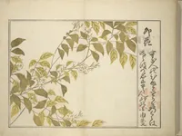 An illustration from Collection of Thirty-six Kyōka Poems (Roku roku kyōka sen 六々狂歌撰) (1814)