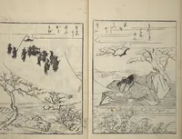 Picture 6 of 10 from Picture Book of Gold Brocades (Ehon kokinran 絵本古錦蘭) : [volume 1] (1763), leaf 8