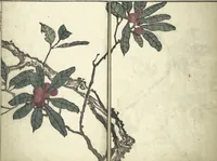An illustration from Kinpaen (Bunpō) Picture Album (Kinpaen gafu 金波園画譜) (1820)