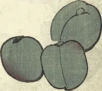 An illustration from Kinpaen (Bunpō) Picture Album (Kinpaen gafu 金波園画譜) (1820)