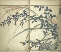 An illustration from Kinpaen (Bunpō) Picture Album (Kinpaen gafu 金波園画譜) (1820)