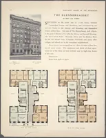 Picture 221 of 289 from Apartment houses of the metropolis (1908), leaf 226