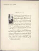 An illustration from Apartment houses of the metropolis (1908)