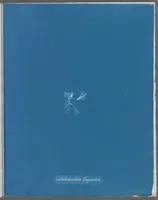 Picture 123 of 197 from Photographs of British algae: cyanotype impressions (1843), leaf 184