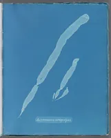 Picture 147 of 197 from Photographs of British algae: cyanotype impressions (1843), leaf 221
