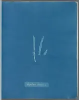 Picture 20 of 197 from Photographs of British algae: cyanotype impressions (1843), leaf 31