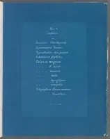 Picture 44 of 197 from Photographs of British algae: cyanotype impressions (1843), leaf 70