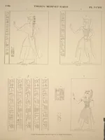 Picture 254 of 510 from Monuments de l'Égypte et de la Nubie, d'après les dessins exécutés sur les lieux sous la direction de Champollion-le-jeune, et les descriptions autographes qu'il en a rédigées; pub. sous les auspices de M. Guizot et de M. Thiers ... par une commission spéciale. Planches (1835), leaf 254