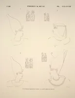 Picture 326 of 510 from Monuments de l'Égypte et de la Nubie, d'après les dessins exécutés sur les lieux sous la direction de Champollion-le-jeune, et les descriptions autographes qu'il en a rédigées; pub. sous les auspices de M. Guizot et de M. Thiers ... par une commission spéciale. Planches (1835), leaf 327