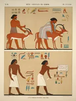 Picture 411 of 510 from Monuments de l'Égypte et de la Nubie, d'après les dessins exécutés sur les lieux sous la direction de Champollion-le-jeune, et les descriptions autographes qu'il en a rédigées; pub. sous les auspices de M. Guizot et de M. Thiers ... par une commission spéciale. Planches (1835), leaf 412