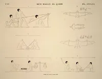 Picture 421 of 510 from Monuments de l'Égypte et de la Nubie, d'après les dessins exécutés sur les lieux sous la direction de Champollion-le-jeune, et les descriptions autographes qu'il en a rédigées; pub. sous les auspices de M. Guizot et de M. Thiers ... par une commission spéciale. Planches (1835), leaf 422