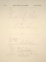 Picture 422 of 510 from Monuments de l'Égypte et de la Nubie, d'après les dessins exécutés sur les lieux sous la direction de Champollion-le-jeune, et les descriptions autographes qu'il en a rédigées; pub. sous les auspices de M. Guizot et de M. Thiers ... par une commission spéciale. Planches (1835), leaf 423