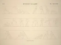 Picture 425 of 510 from Monuments de l'Égypte et de la Nubie, d'après les dessins exécutés sur les lieux sous la direction de Champollion-le-jeune, et les descriptions autographes qu'il en a rédigées; pub. sous les auspices de M. Guizot et de M. Thiers ... par une commission spéciale. Planches (1835), leaf 426