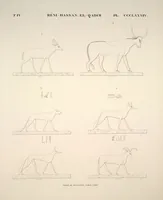 Picture 440 of 510 from Monuments de l'Égypte et de la Nubie, d'après les dessins exécutés sur les lieux sous la direction de Champollion-le-jeune, et les descriptions autographes qu'il en a rédigées; pub. sous les auspices de M. Guizot et de M. Thiers ... par une commission spéciale. Planches (1835), leaf 441