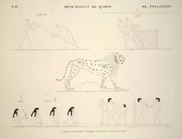 Picture 442 of 510 from Monuments de l'Égypte et de la Nubie, d'après les dessins exécutés sur les lieux sous la direction de Champollion-le-jeune, et les descriptions autographes qu'il en a rédigées; pub. sous les auspices de M. Guizot et de M. Thiers ... par une commission spéciale. Planches (1835), leaf 443