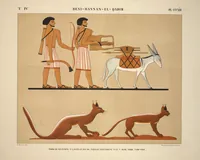 Picture 450 of 510 from Monuments de l'Égypte et de la Nubie, d'après les dessins exécutés sur les lieux sous la direction de Champollion-le-jeune, et les descriptions autographes qu'il en a rédigées; pub. sous les auspices de M. Guizot et de M. Thiers ... par une commission spéciale. Planches (1835), leaf 451